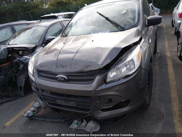 Продаж на аукціоні авто 2013 Ford Escape S, vin: 1FMCU0F76DUB87695, номер лоту: 40087567