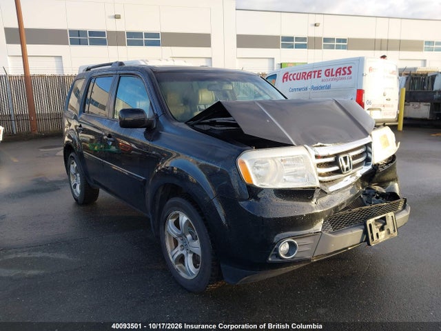 40093501 :رقم المزاد ، 5FNYF4H58DB502187 vin ، 2013 Honda Pilot مزاد بيع