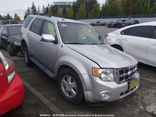 2009 Ford Escape Xlt მანქანა იყიდება აუქციონზე, vin: 1FMCU93G09KA90973, აუქციონის ნომერი: 40089819