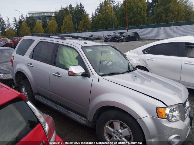 2009 Ford Escape Xlt მანქანა იყიდება აუქციონზე, vin: 1FMCU93G09KA90973, აუქციონის ნომერი: 40089819