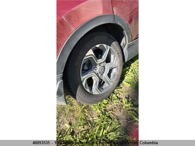 2019 2HKRW2H5XKH124932 main image