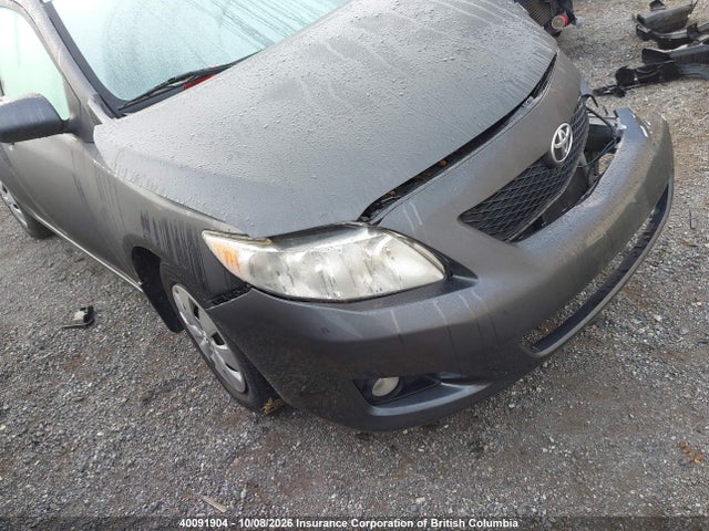 40091904 :رقم المزاد ، 2T1BU4EE3AC372030 vin ، 2010 Toyota Corolla Le مزاد بيع