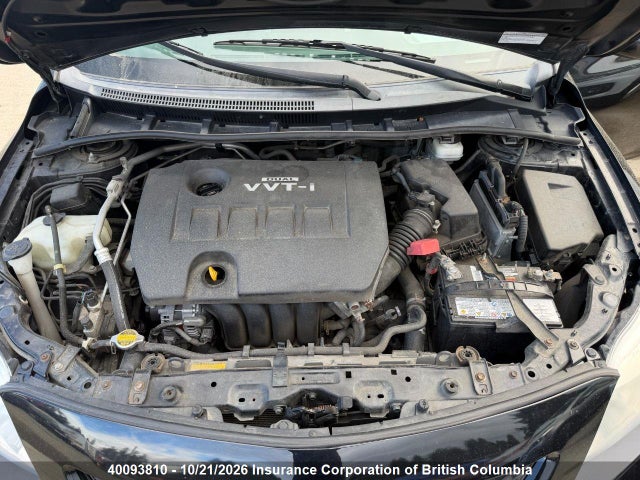 Продажа на аукционе авто 2009 Toyota Corolla S/le/xle, vin: 2T1BU40E39C046537, номер лота: 40093810
