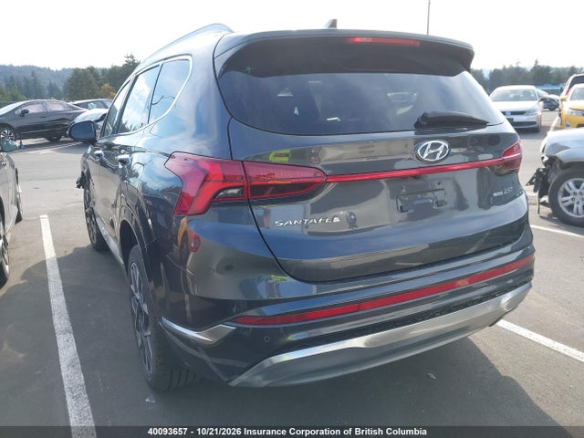 Hyundai Santa Fe Ultimate Calligraphy 2023 5NMS5DAL9PH564475 Image 3