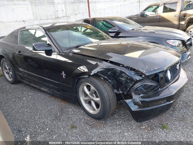 40093993 :رقم المزاد ، 1ZVFT80N765193400 vin ، 2006 Ford Mustang مزاد بيع