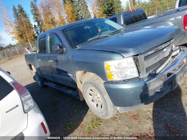 Aukcja sprzedaży 2009 Chevrolet Silverado K1500/k1500 Ls, vin: 2GCEK13C391120470, numer aukcji: 40094036