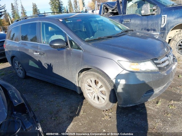 2014 5FNRL5H34EB506143 главное изображение