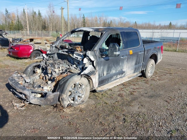1FTFW1E88MFA06113 Ford F150 Supercrew