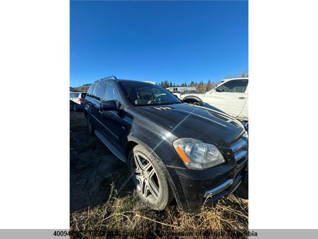 Продажа на аукционе авто 2012 Mercedes-benz Gl 350 Bluetec, vin: 4JGBF2FE1CA789081, номер лота: 40094796