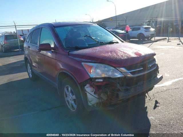 Продаж на аукціоні авто 2010 Honda Cr-v, vin: 5J6RE4H58AL806338, номер лоту: 40094840