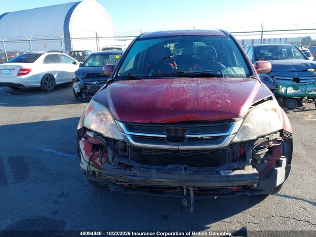 Продажа на аукционе авто 2010 Honda Cr-v, vin: 5J6RE4H58AL806338, номер лота: 40094840