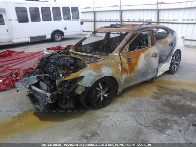 1N4AA6AP8GC396984 Nissan Maxima 3.5 Platinum