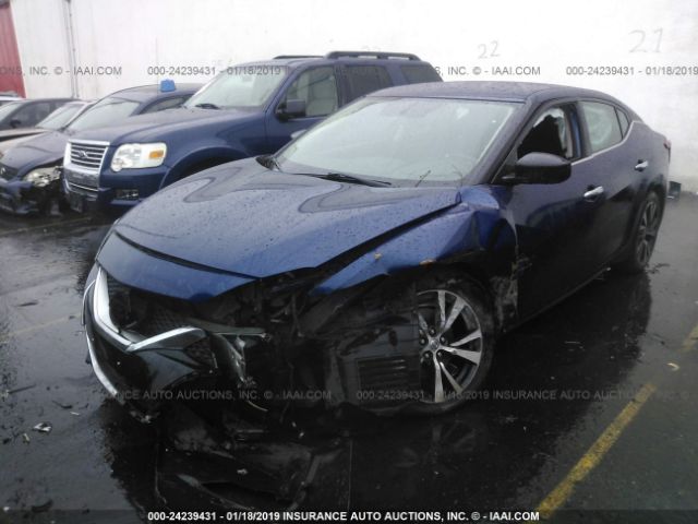 1N4AA6AP2GC381333 Nissan Maxima 3.5 Platinum/3.5 S/3.5 Sl/3.5 Sr/3.5 Sv