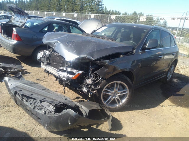 WA1D7AFP9GA077228 Audi Q5 Premium Plus