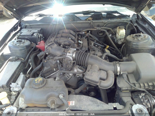 1ZVBP8AM5E5230855 Ford Mustang V6 Premium