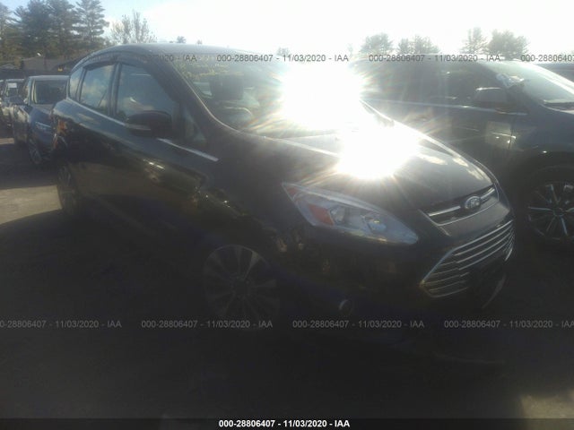 2018 Ford C-Max, VIN: 1FADP5DU8JL103390