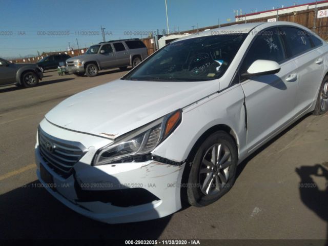 Hyundai Sonata 2014 -auction- 5