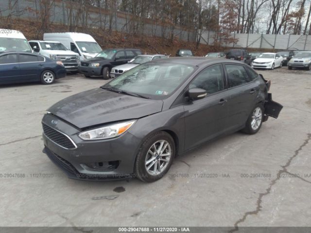 Фото: 1FADP3F24FL200724