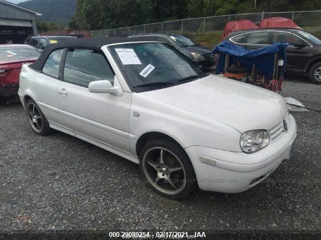 3VWCB61E5XM813858 VOLKSWAGEN NEW CABRIO Photo 1