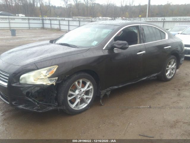 1N4AA5AP5EC493938 Nissan Maxima 3.5 S