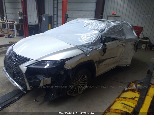 2020 Lexus RX, VIN: JTJJGKFA3L2012595