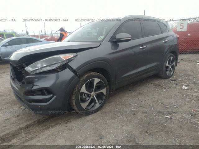 Hyundai Tucson Limited 2016 KM8J33A27GU025120 Image 2