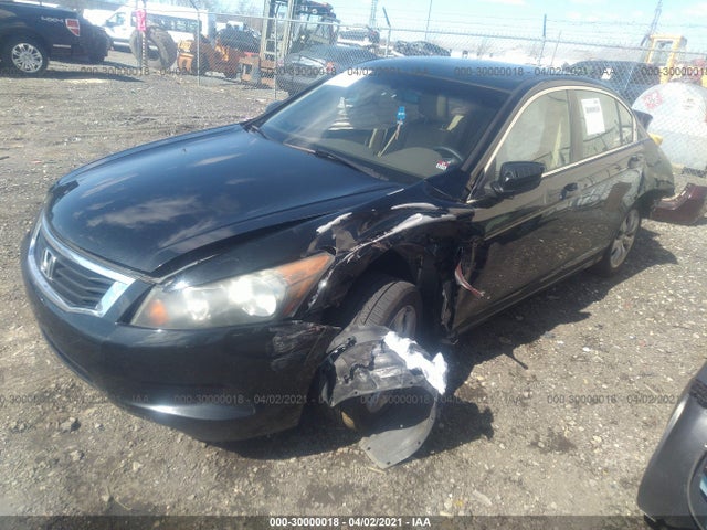 2010 HONDA ACCORD SDN EX VIN: 1HGCP2F76AA007637