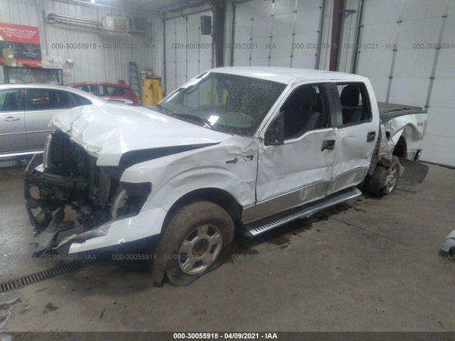 2011 FORD F-150 XL/XLT/FX4/LARIAT VIN: 1FTFW1EF0BFA46343