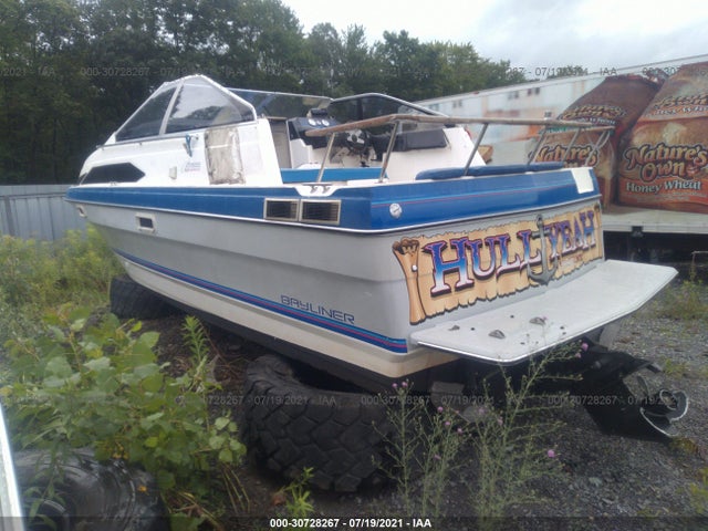 1989 BAYLINER OTHER BL2D19STB989      Photo 2