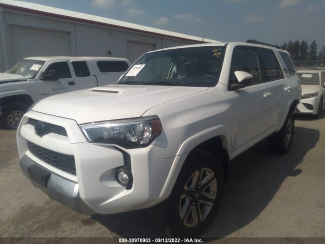 2019 Toyota 4Runner, VIN: JTEBU5JR1K5716320