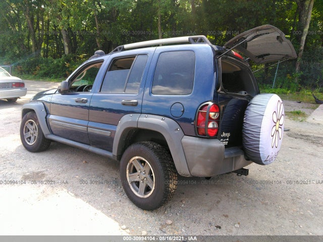 2006 JEEP LIBERTY RENEGADE VIN: 1J4GL38K76W219213