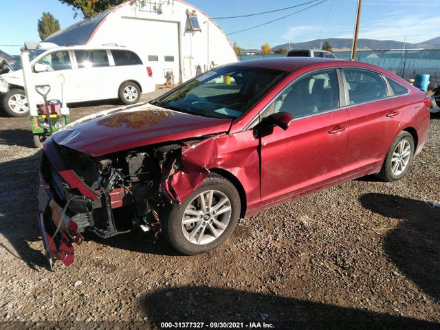 Hyundai Sonata 2.4l Se 2016 5NPE24AF6GH346951 Image 2