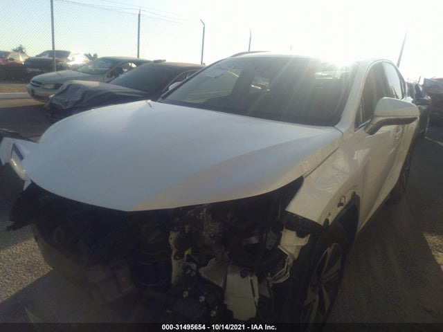 2019 Lexus NX, VIN: JTJBJRBZ3K2124984