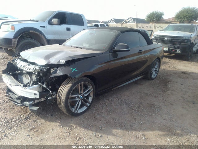 2019 BMW 2 Series, VIN: WBA2M7C59K7D59015