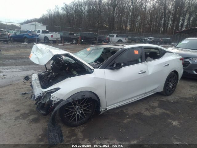 1N4AA6AP2HC449695 Nissan MAXIMA SL