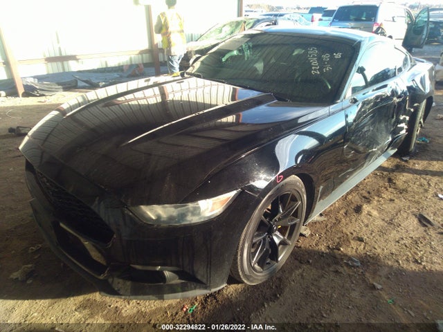 2015 Ford Fastback, VIN: 1FA6P8AM5F5337349
