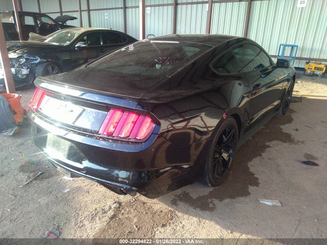 2015 Ford Fastback, VIN: 1FA6P8AM5F5337349
