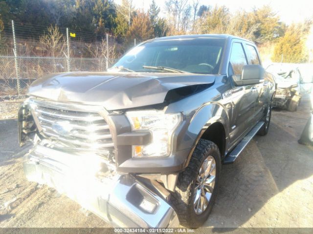1FTEW1CP0FKE72294 Ford F-150 Xl/lariat/xlt