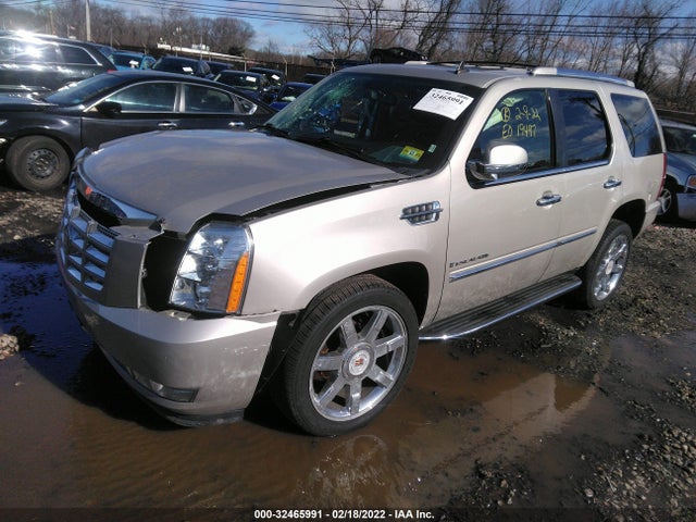 2009 CADILLAC ESCALADE VIN: 1GYFK23219R239265