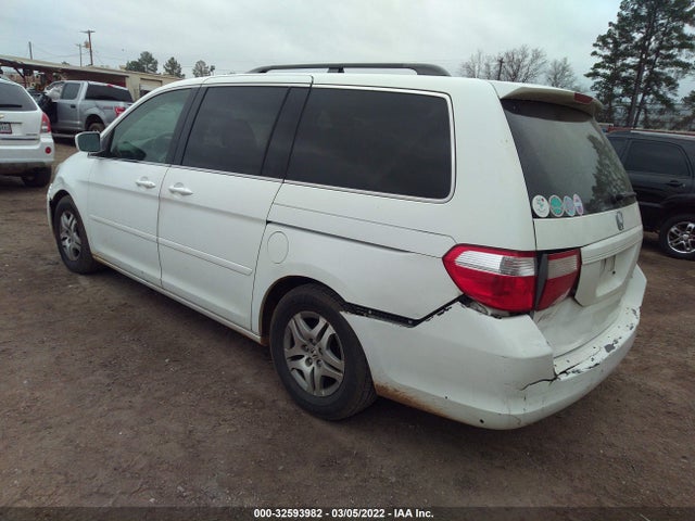 2005 HONDA ODYSSEY EX-L VIN: 5FNRL38655B423819