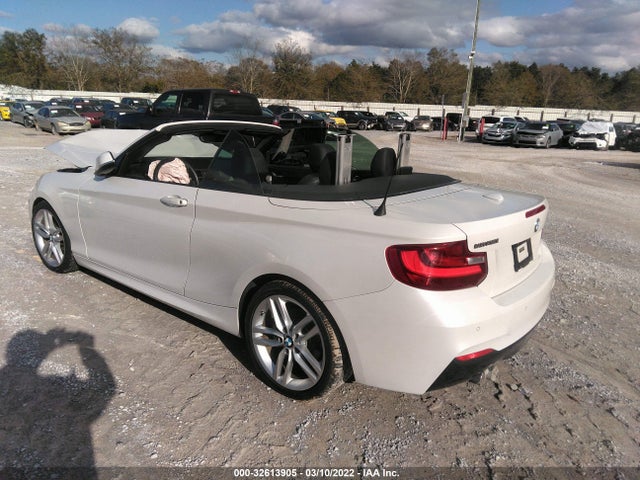 2017 BMW 2 Series, VIN: WBA2K9C39HV950625