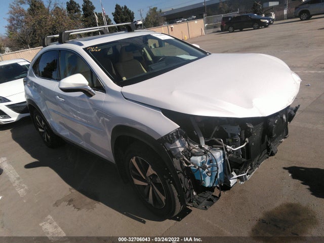 2020 Lexus NX, VIN: JTJGJRDZ7L5001966