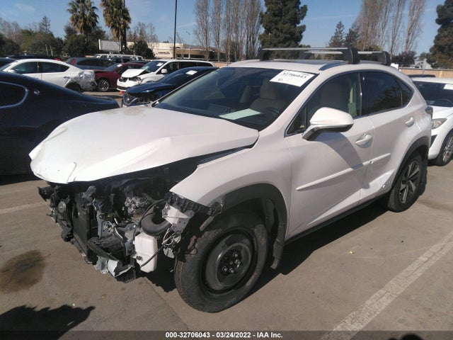 2020 Lexus NX, VIN: JTJGJRDZ7L5001966