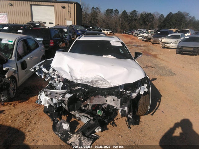 2022 Lexus UX, VIN: JTHR9JBHXN2058598