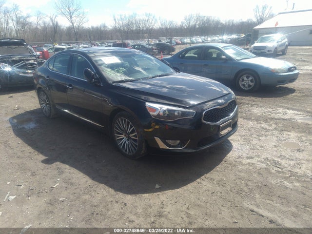 2014 Kia Cadenza, VIN: KNALN4D79E5132209