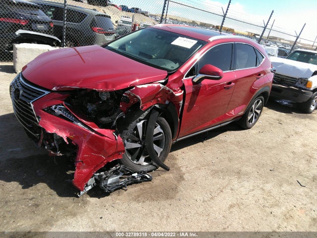 2019 Lexus NX, VIN: JTJBJRBZ7K2096848