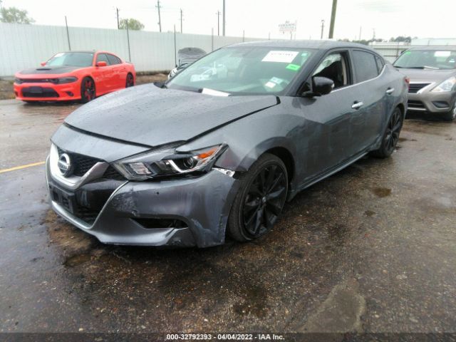 1N4AA6AP1HC445623 Nissan Maxima Sr