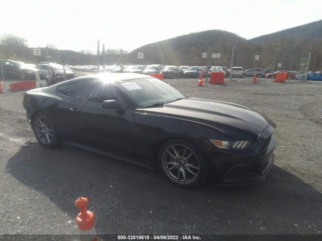 2015 Ford Fastback, VIN: 1FA6P8AM2F5407311