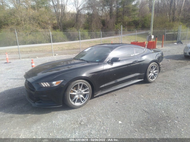 2015 Ford Fastback, VIN: 1FA6P8AM2F5407311