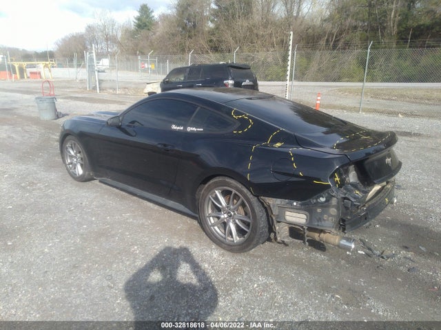 2015 Ford Fastback, VIN: 1FA6P8AM2F5407311